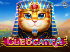 Dragon tiger casino online23